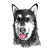 Jagger's Doggie Daycare