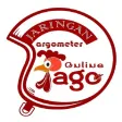 Jago Driver Jago Driver
