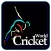 World Cricket 2019 Live Update