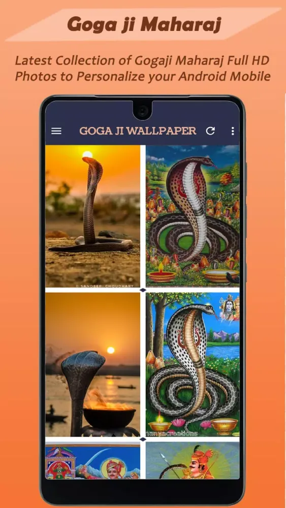 Jaharveer Goga Ji Wallpaper HD應用截圖