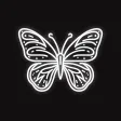 Shadowly: Well-Being Companion Shadowly: Well-Being Companion