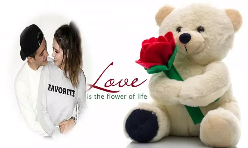 Teddy Bear Day Photo Frame應用截圖
