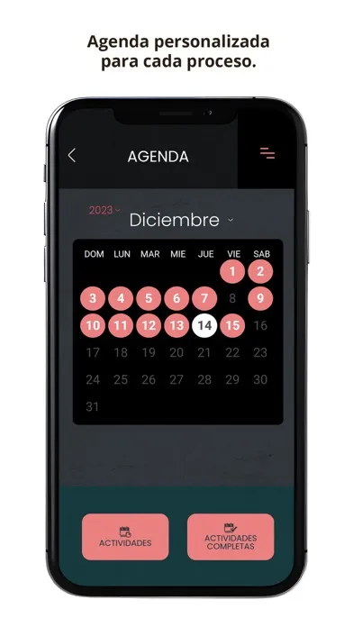 Скриншоты Jalil Dib Wedding Planner
