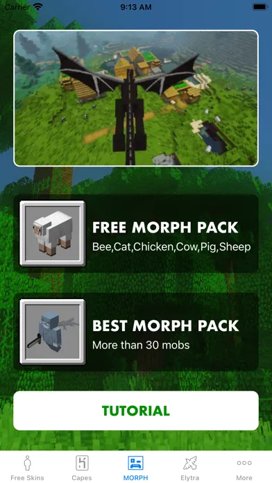 Morph Mod - Mods for Minecraft スクリーンショット