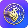 Falcon VPN
