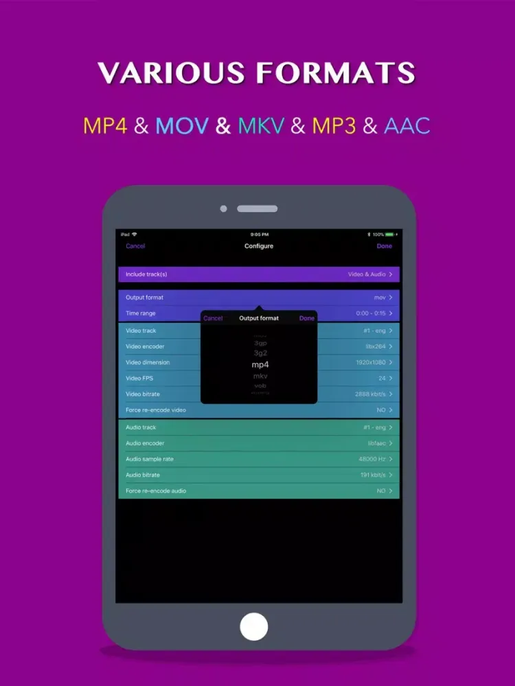 YT MP4 Video to MP3 Converter iPad 應用截圖
