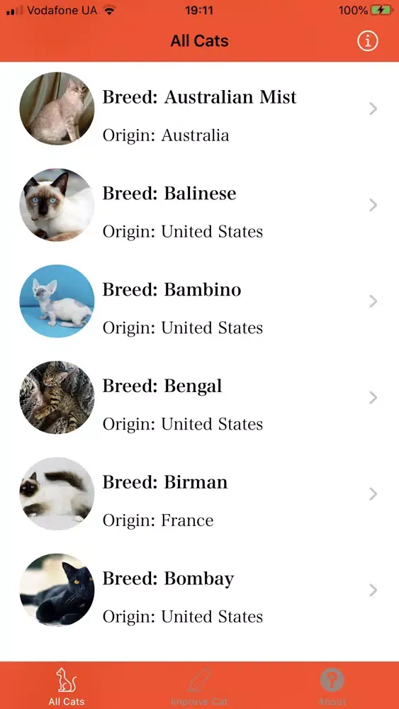 King of Cats Screenshots