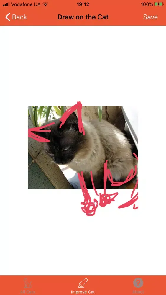 King of Cats Screenshots
