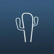Cactus - Digital Detox Cactus - Digital Detox