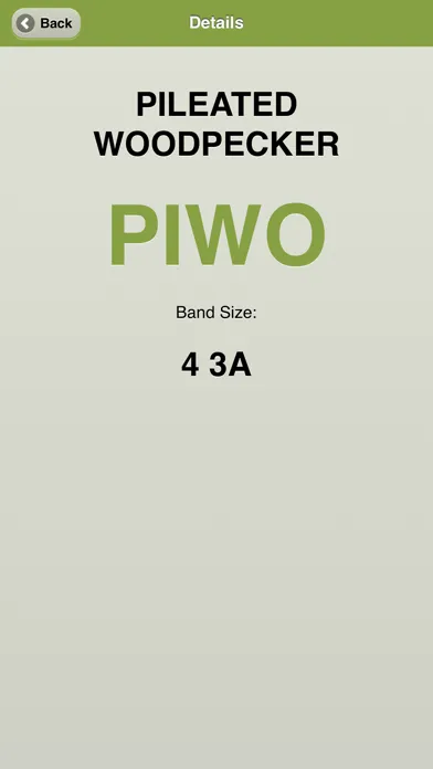 Band Codes应用截图