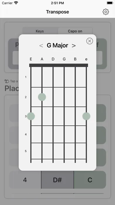 Chord Transpose应用截图