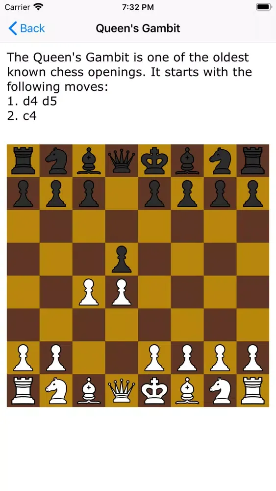 Chess Dictionary Screenshots