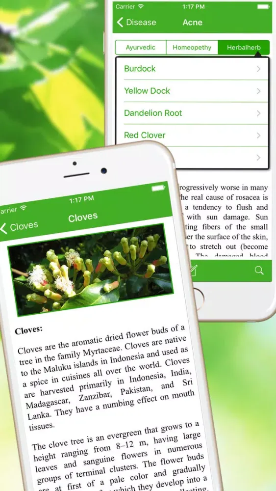 Ref Guide for Ayurvedic Herb Instant Home Remedies应用截图