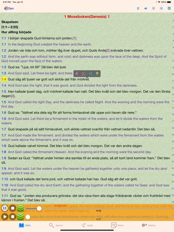 Tangkapan skrin Swedish Finnish English Bible iPad 