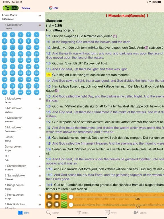 Tangkapan skrin Swedish Finnish English Bible iPad 