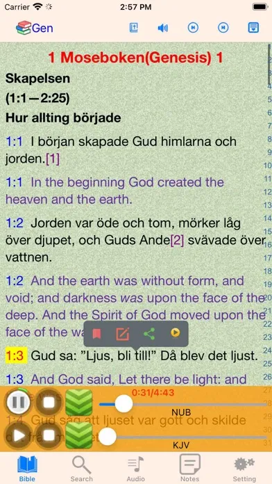 Tangkapan skrin Swedish Finnish English Bible