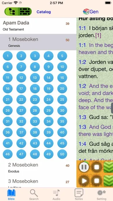Tangkapan skrin Swedish Finnish English Bible