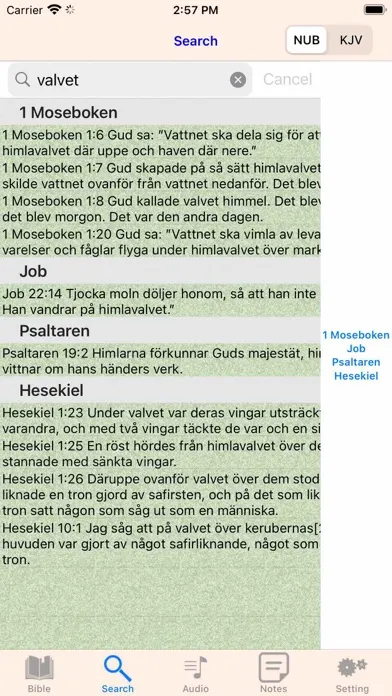 Tangkapan skrin Swedish Finnish English Bible