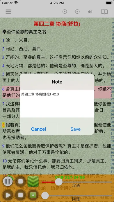 Captures d'écran de Chinese Quran Audio Book