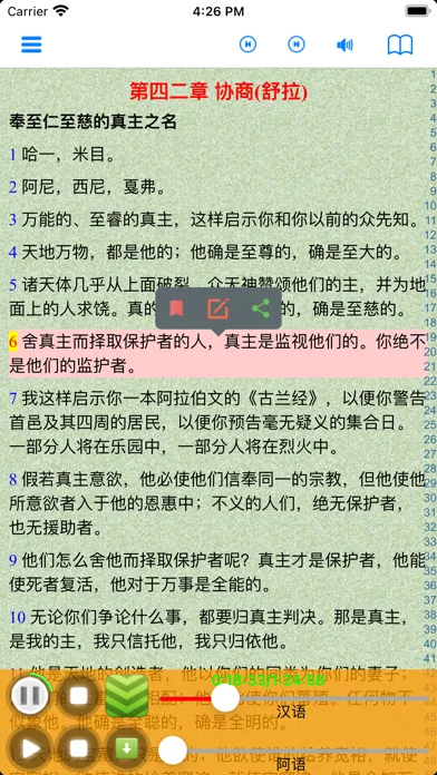 Captures d'écran de Chinese Quran Audio Book