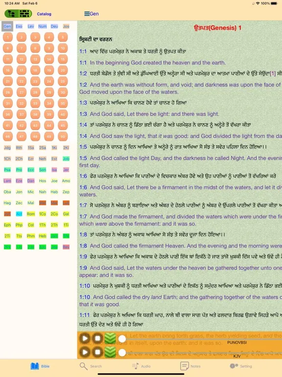 ภาพหน้าจอของ Punjabi English Audio Bible iPad 