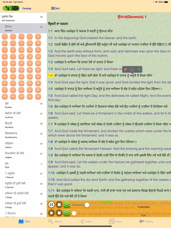 ภาพหน้าจอของ Punjabi English Audio Bible iPad 