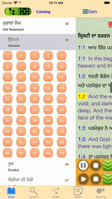 ภาพหน้าจอของ Punjabi English Audio Bible