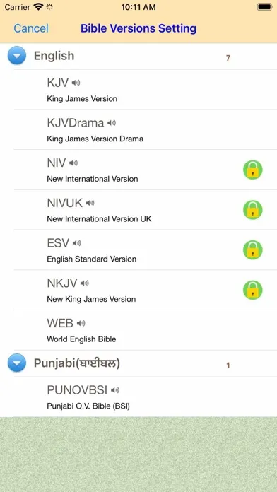 ภาพหน้าจอของ Punjabi English Audio Bible
