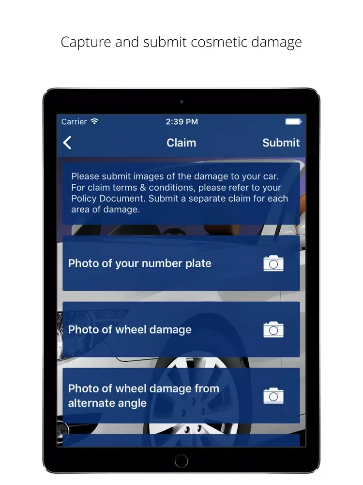 Jardine Alloy Wheel Repair iPad  스크린샷