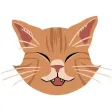 Colby Cat Colby Cat