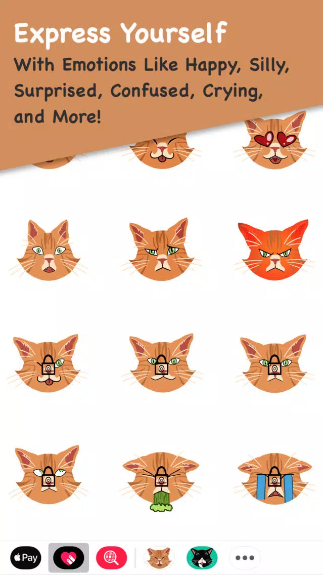 صور Colby Cat