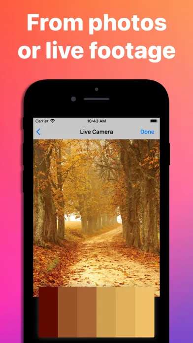 Color Palettes - Find & Create Screenshots