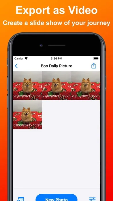 Capturas de tela do Daily Picture - Selfie a day