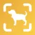 Dog Scan - Breed Identifier