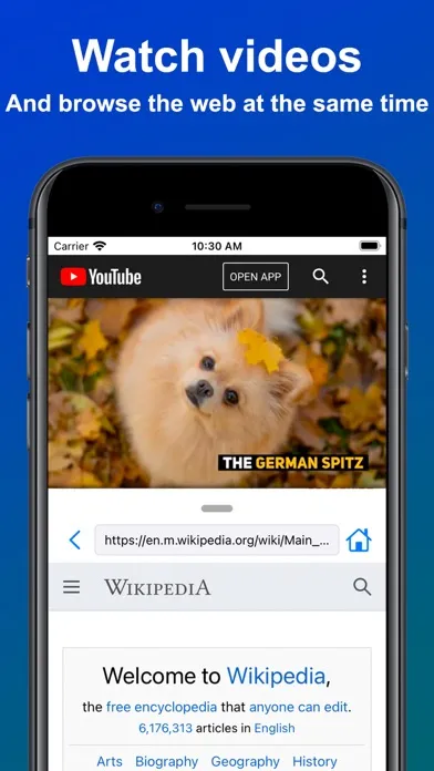 Split View Multitasking Screen应用截图
