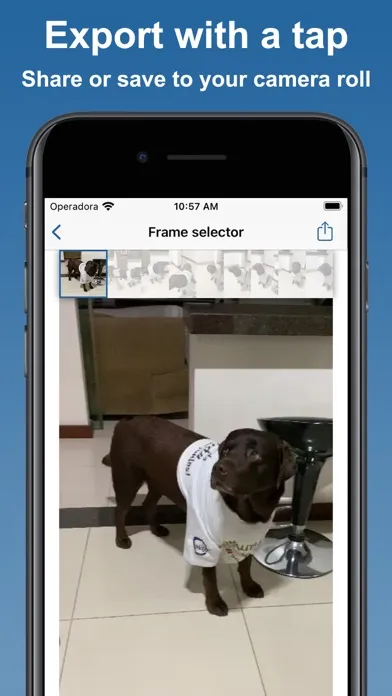 Captures d'écran de Video to Photo: High Quality