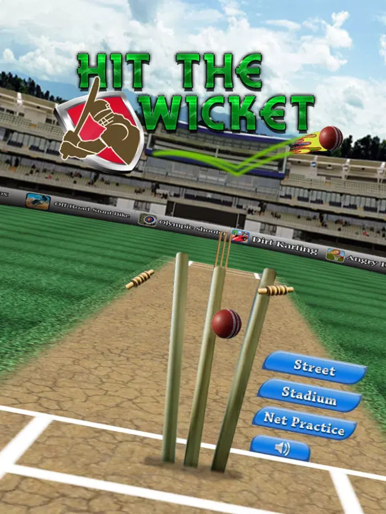Hit The Wicket iPad  سکرین شاٹس