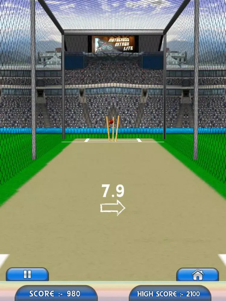 Hit The Wicket iPad  سکرین شاٹس