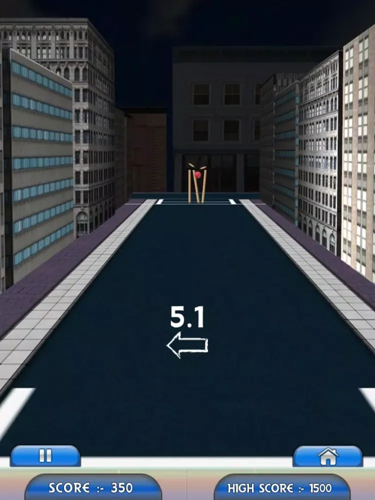 Hit The Wicket iPad  سکرین شاٹس