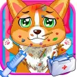Dog Care Hospital - Pet Carrying Hospital for kids