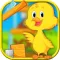 Save the Chicken - Brain Challenge Game