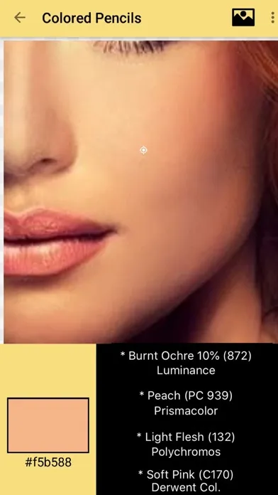Color Picker for Artists سکرین شاٹس