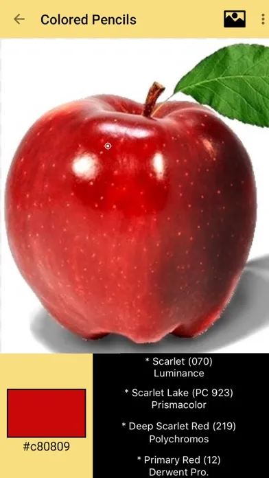 Color Picker for Artists سکرین شاٹس