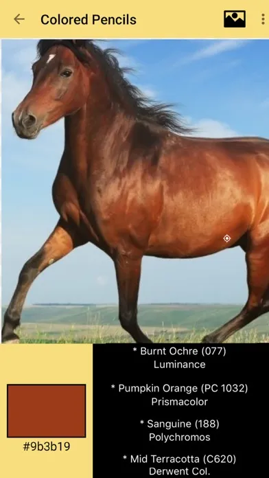 Color Picker for Artists سکرین شاٹس