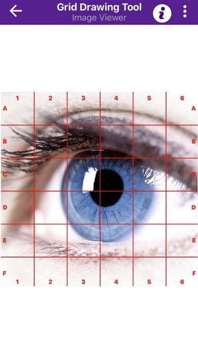 صور Grid Drawing Tool for Artists