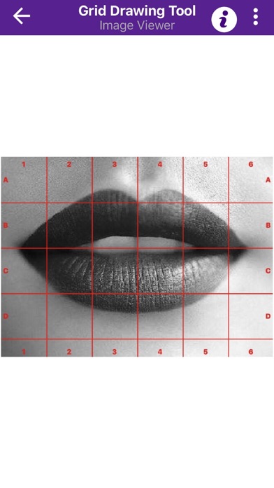 صور Grid Drawing Tool for Artists