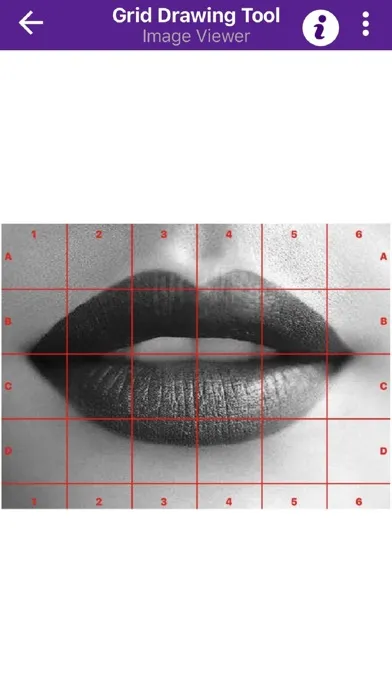 Grid Drawing Tool for Artists应用截图