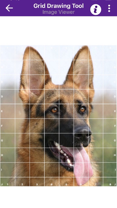 صور Grid Drawing Tool for Artists