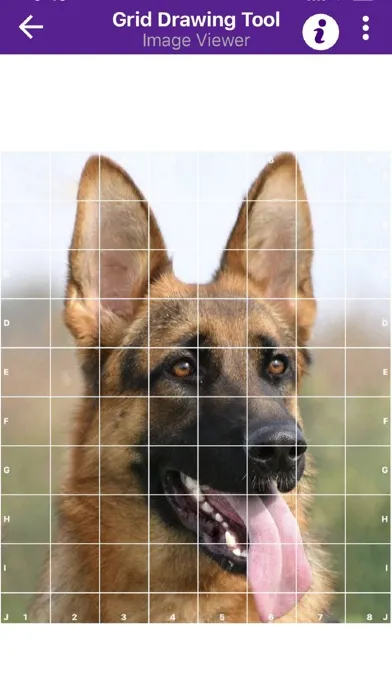 Grid Drawing Tool for Artists应用截图