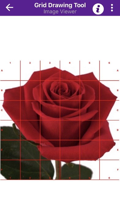 صور Grid Drawing Tool for Artists